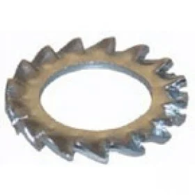 sgm-pieces20260614152457418419