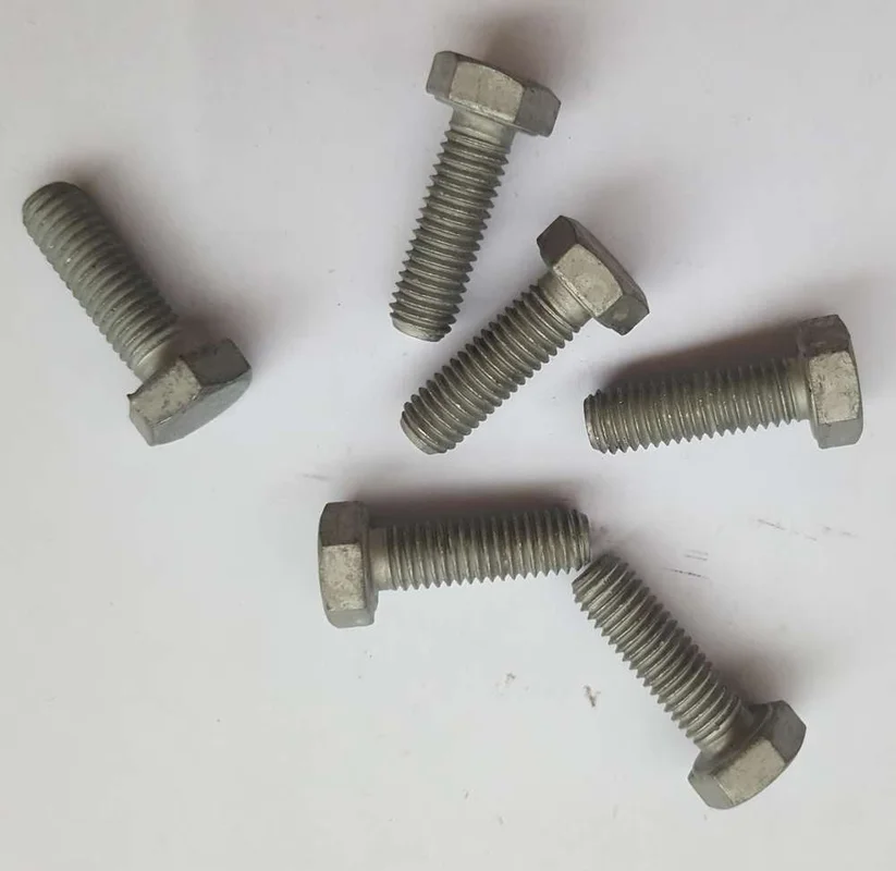 sgm-pieces20260614163112433596